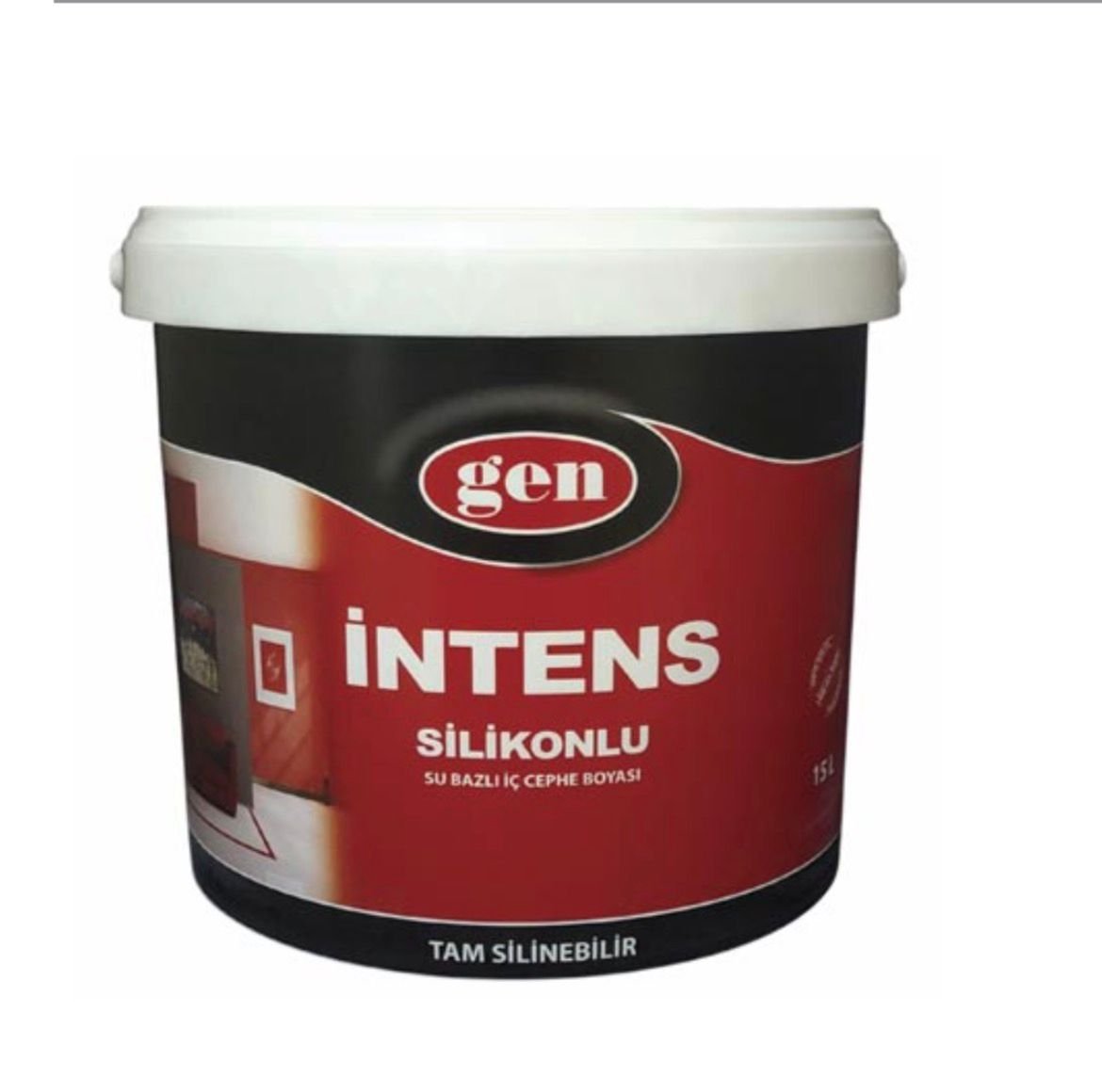 Pintura Interior Silicona Semimate